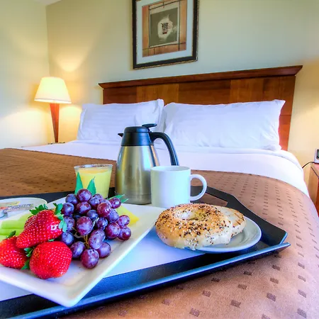 Holiday Inn Tampa Westshore - Airport Area By Ihg-2