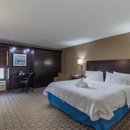 Spark By Hilton Tampa Brandon-3