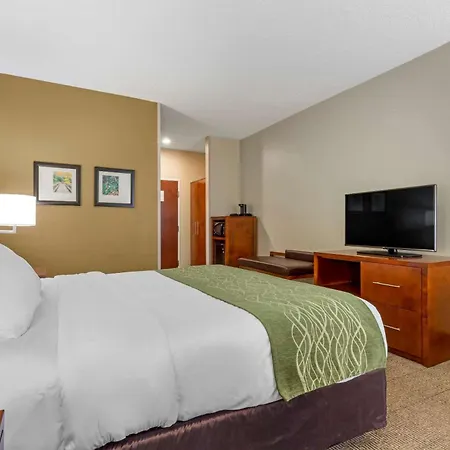 Comfort Inn & Suites Lenoir Hwy 321 Northern Foothills-2