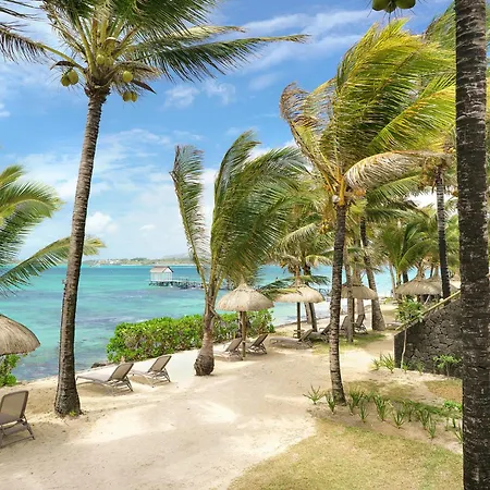 Tropical Attitude (Adults Only)-3