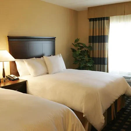 Homewood Suites By Hilton Toronto Airport Corporate Centre-2