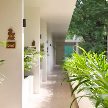 Fcc Angkor By Avani-3