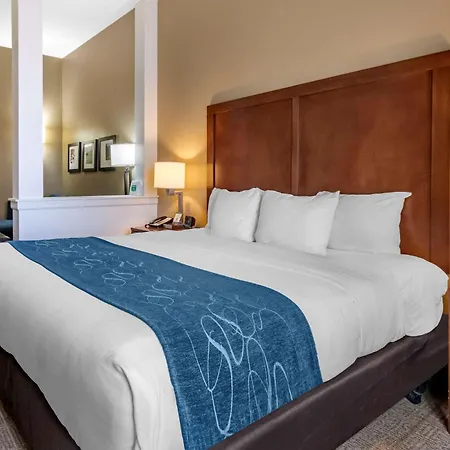 Comfort Suites Airport-University-2