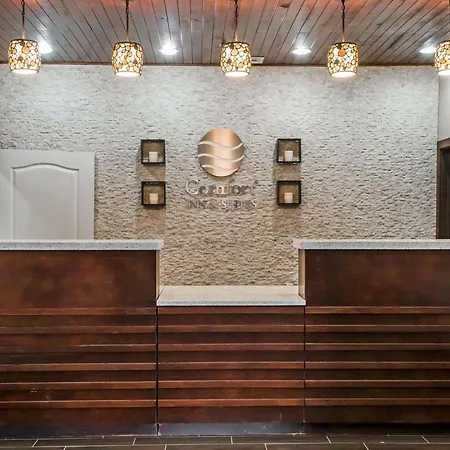 Comfort Inn & Suites Pharr - Mcallen-3