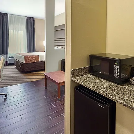 Comfort Suites Near Tanger Outlet Mall-3