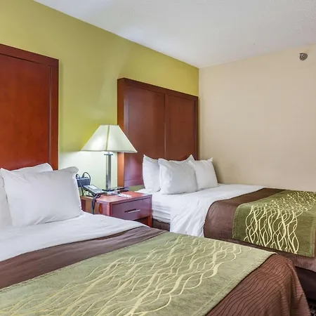 Comfort Inn Decatur Priceville-3