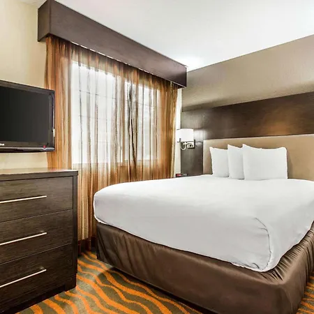 Mainstay Suites Greenville Airport-3