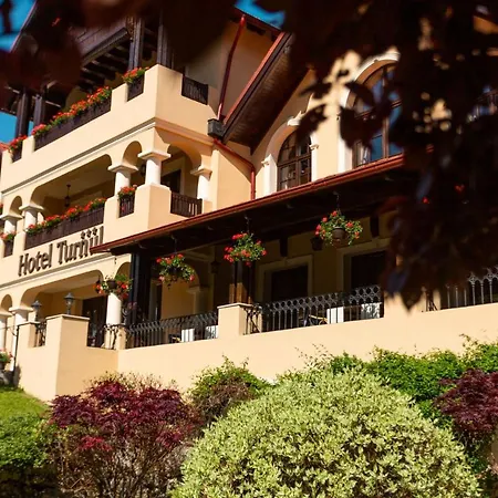 Hotel Turnul-2