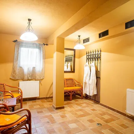 Hotel Turnul-3