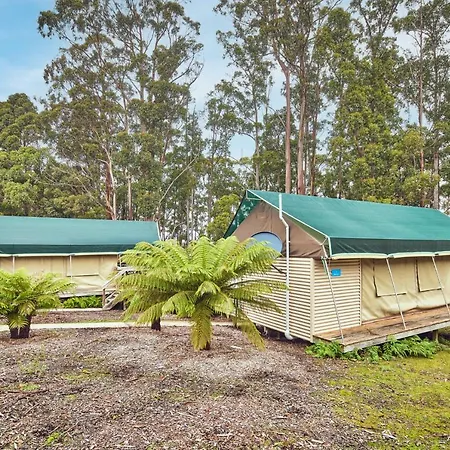 Nrma Port Arthur Holiday Park-3