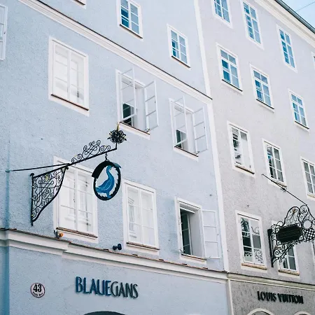 artHotel Blaue Gans-3