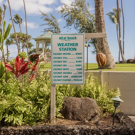 Maui Beach Hotel-3