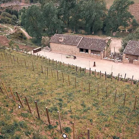 Eco Hotel Cueva Del Gato-2