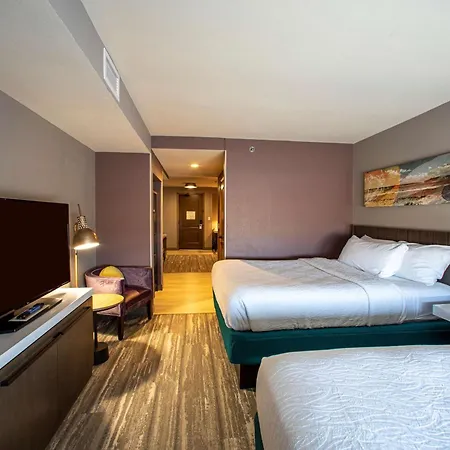 Hilton Garden Inn Rapid City-2