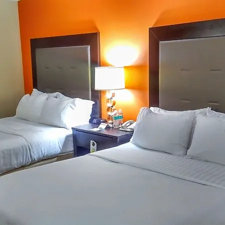 Holiday Inn Express & Suites Opelousas By Ihg-2