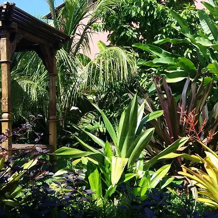 Hotel Hacienda de Abajo-Adults Only-2