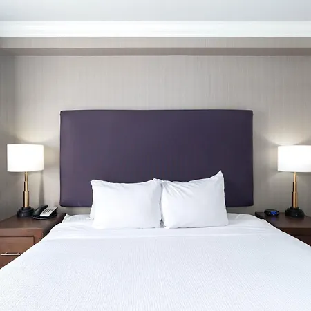 Sandman Hotel & Suites Calgary South-2