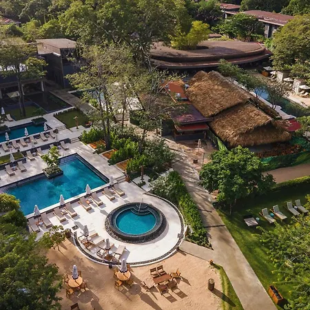 El Mangroove Papagayo, Autograph Collection-3