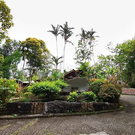 Sepilok Jungle Resort-3