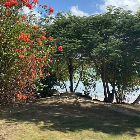 Navutu Stars Resort-2