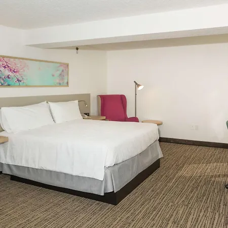 Hilton Garden Inn Saint Augustine Beach-2