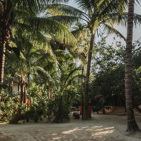 Hotel Las Nubes Holbox-3
