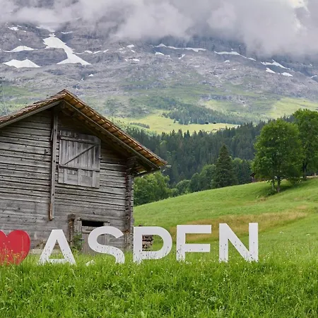 Aspen Alpine Lifestyle Hotel-3