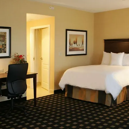 Homewood Suites By Hilton Toronto Airport Corporate Centre-3