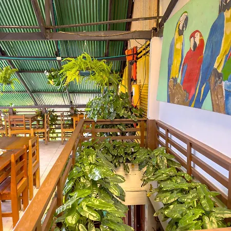 Eco Hotel El Refugio Boutique-2