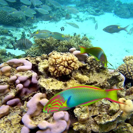 Sanctuary Rarotonga On The Beach (Adults Only)-3