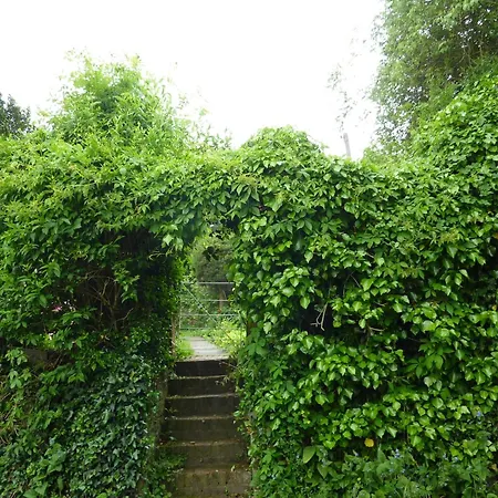 Chequers Hotel-3