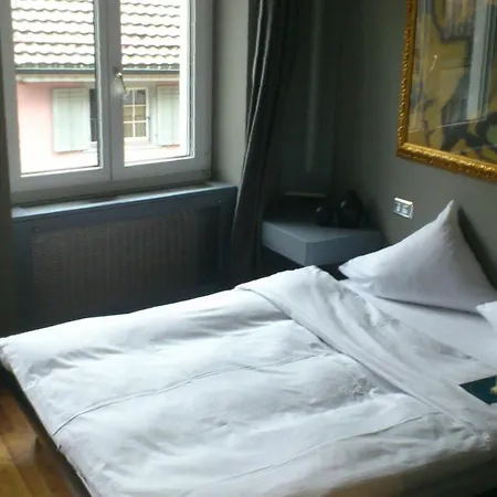 Hotel Limmatblick-2
