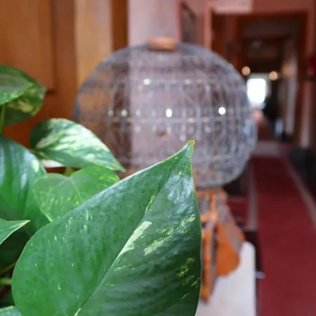 Alegre - Bussaco Boutique Hotel-2