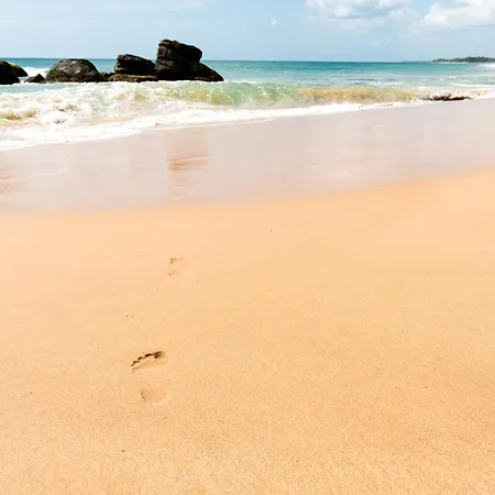 Turtle Bay Boutique Hotel-3