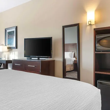 Best Western Plus Brandon Inn-3