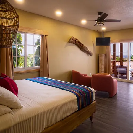 Mr. Tucan Hotel-2