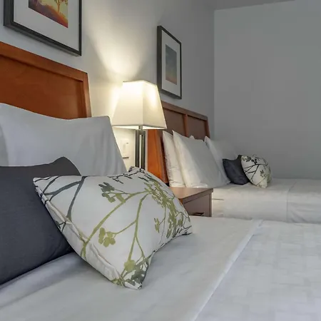 Hotel Le Victorin, An Ascend Hotel Collection Member-3