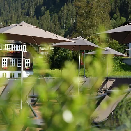 Hotel Bergkristall-3
