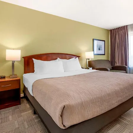 Quality Inn-3