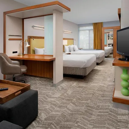 Springhill Suites Potomac Mills Woodbridge-3