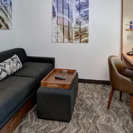 Springhill Suites By Marriott Saginaw-2