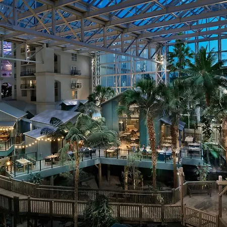 Gaylord Palms Resort & Convention Center-3