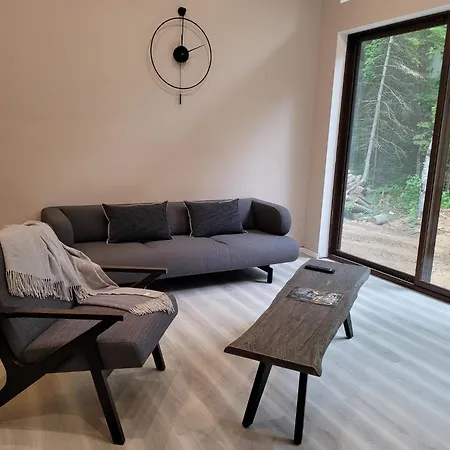 Nomi Resort-2