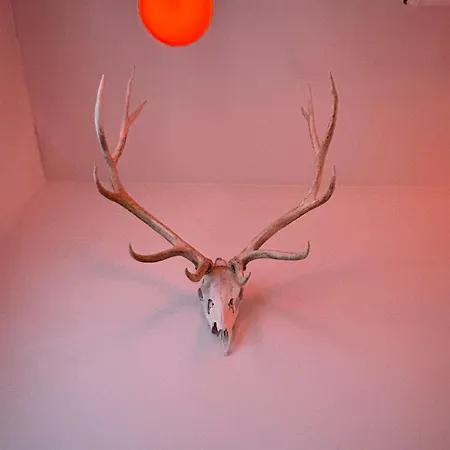 Ace Hotel Seattle-3