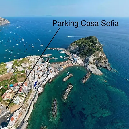 Casa Sofia Boutique Hotel-3