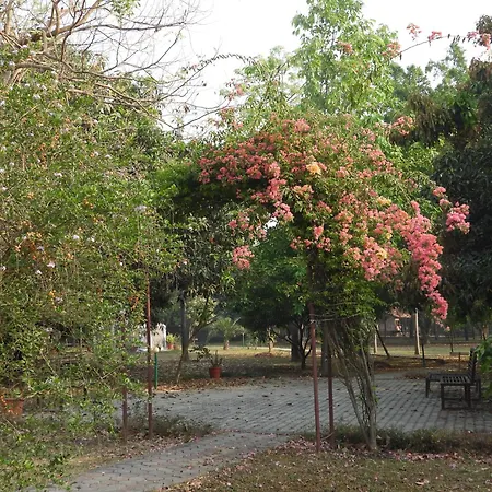 Lumbini Buddha Garden Resort-3
