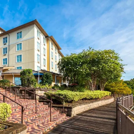 Hotel Indigo Jacksonville-Deerwood Park By Ihg-3