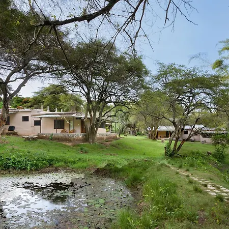 Jungle Hut Resort-3