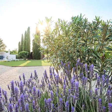 Boutique Bed & Breakfast Casa Paco - Adults Only-2