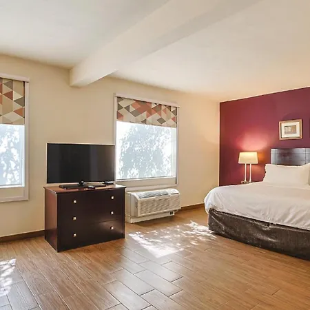 Holiday Inn Reynosa Industrial Poniente, an IHG Hotel-3